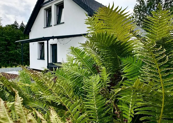 Karkonoska Dolina Holiday home